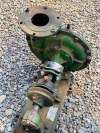 خنزيره • جاهز • شمعة معمّرة