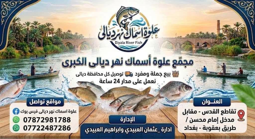 علوة اسماك نهر ديالى 
عروض يوم الخميس والجمعة فقط
سعر كيلو السمك مع شوي ٦ الف دينار فقط 
العنوان طريق بعقوبة بغداد مقابيل مدخل امام محسن
***********
