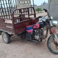 ستوته • بدون أوراق • الكرمه