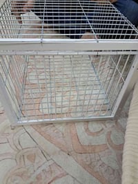 قفص صيد • طيور • البياع بغداد