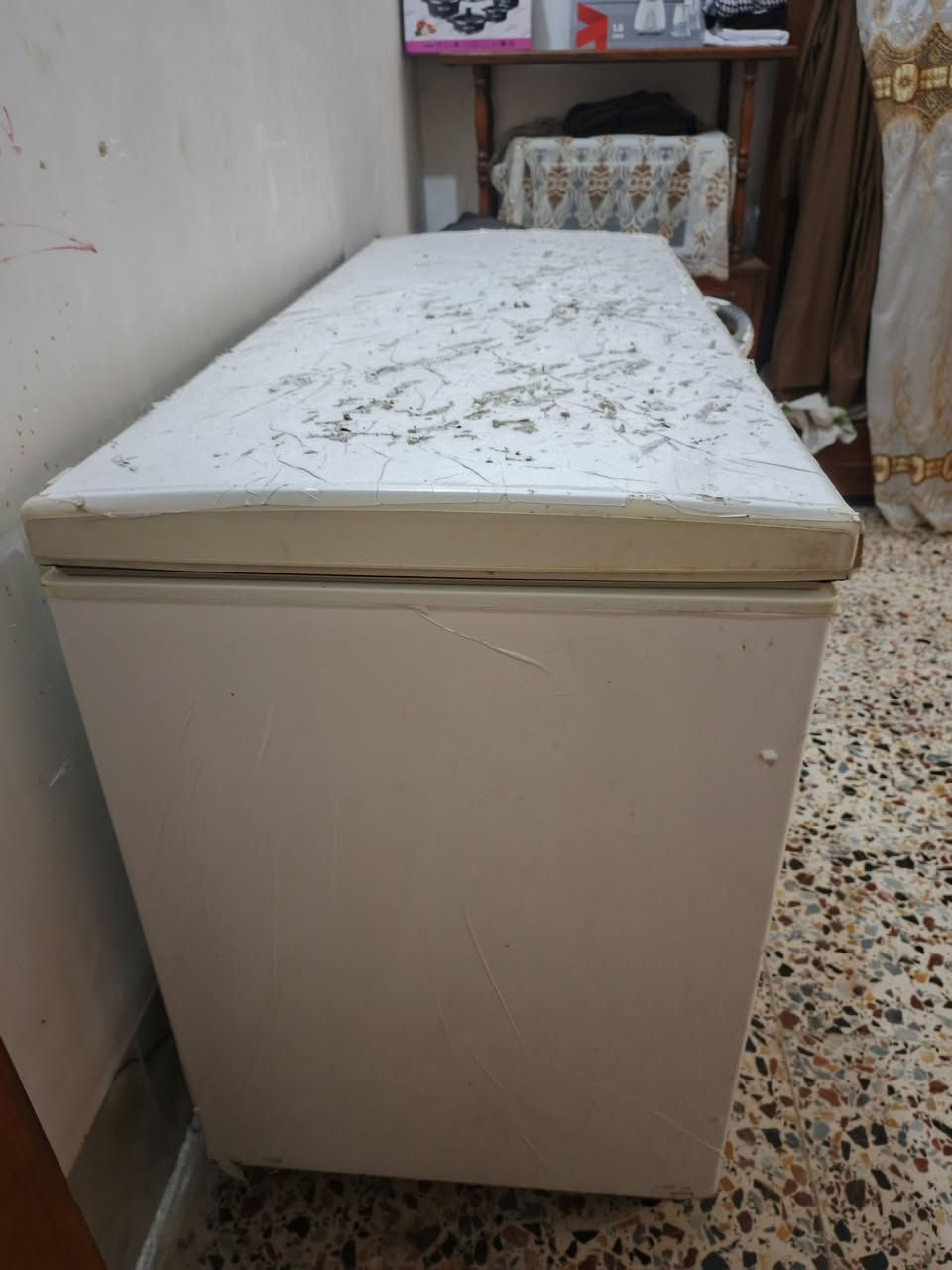 سلام عليكم تخم للبيع 5قطع ب250وبي مجال الكاونتر ب 100 وبي مجال فقط ابواب عوزه والمجمده ب 270 وبي مجال المكان بابل  قرب مجسر نادر للاسفسار خاص او علئ الرقم ‏‪***********‬‏
