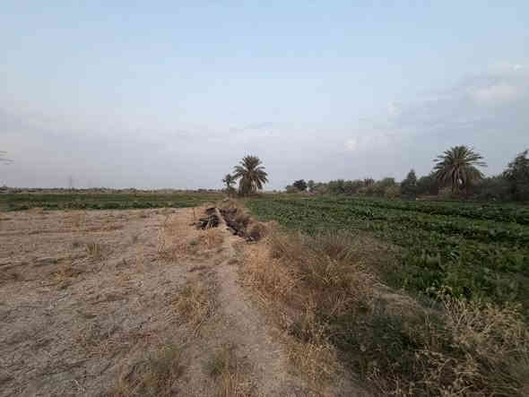 ٣ دونم السعر ٦٥ طابو زراعي سند ٢٥ مداور باسم المشتري مباشر المكان اول فرع بعد جامعه بابل تبعد عن شارع حله نجف ٢ كيلو وتبعد عن التبليط ١٥٠ متر الأرض زراعيه ومناسبه جدا 
للاستفسار الاتصال على الرقم 
***********
او واتساب 
***********
