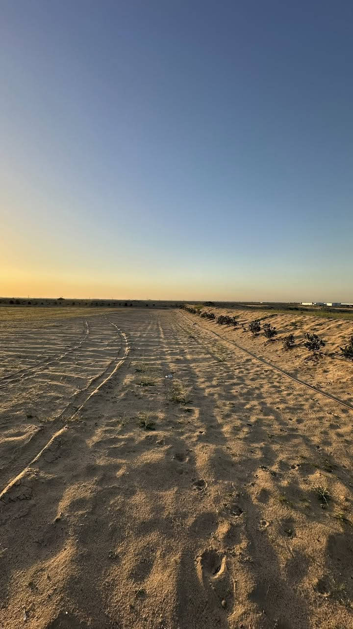 10 دوانم
السلام عليكم
10 دوانم للبيع المكان طريق النجمي شارع الرفيع بيهن كهرباء وطنيه السعر 55 وبيهن مجال الدوانم على الشارع
تفاصيل اكثر اتصل ***********
