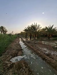 ١٧ دونم • كربلاء العطيشي • بجانب الحسينية