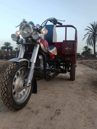 موديل 2019 • بدون أوراق • بابل