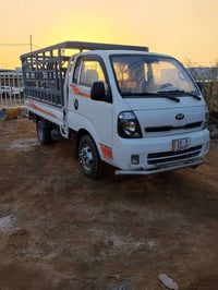 فحل • 2019 • ديوانيه