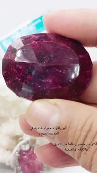 ياقوت هندي • سرور بانا • المدينه المنوره