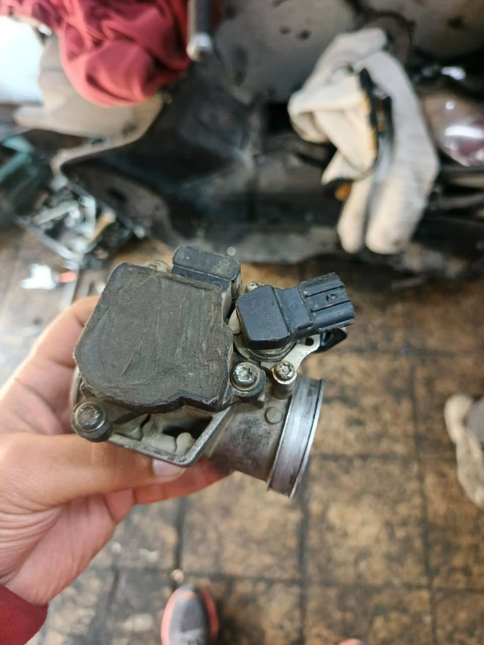 سلام عليكم اخوان جويترات حاويه شرط الفحص جميع انواع الفورزه قوايش تفصيخ اي شي يخص الفورزه توصيل كافه محافظات العراق اتصل واتس ***********
