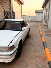 مارك كصيف • ١٩٩١ • سنويه ٢٠٢٧