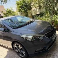 سيراتو خليجي • باسمي أربيل • كشنات جلد