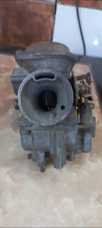 كابريتر • فراشة بلادية • الصليخ