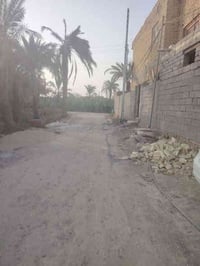 قطعة زراعي • ٣٢٠م • حي الشموع