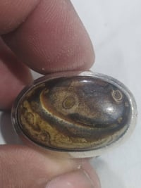 داودي • قديم • مصور