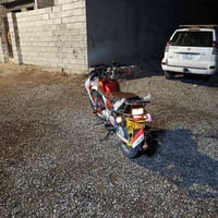 تايكر 24 • فول نضافة • دلي عباس