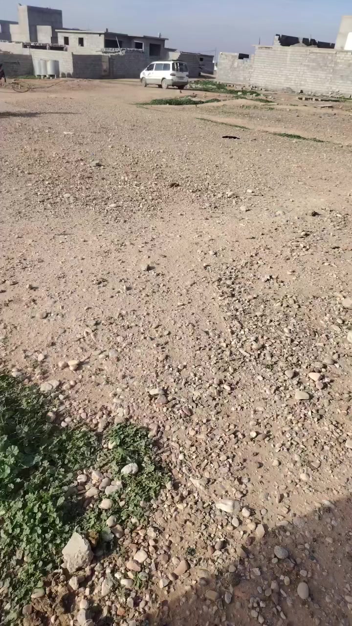 راص للبيع ***********
