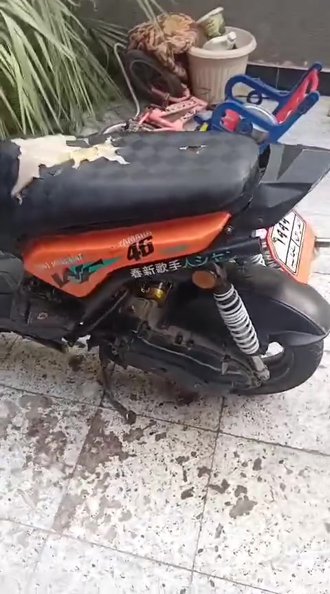 سكنس جبلي للبيع عوزها كفر أمامي مفتوحه بس ولفات ناصريه مركز


**إذا كنت صاحب هذا الإعلان وتريد حذفه لأي سبب، رجاءا أرسل رسالة إلى الدعم الفني**