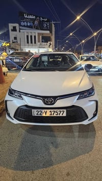 كورلا • ٢٠٢٥ • رقم اربيل