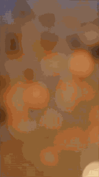 اطلب الان  صوره مغناطيس 

لطلب واتساب : ***********

او التلي :ronde1000

يوجد لدينا توصيل لكافة محافظات العراق
