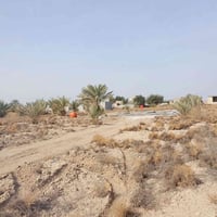 القاسم العمادية • ٣ دونم • طابو زرعي