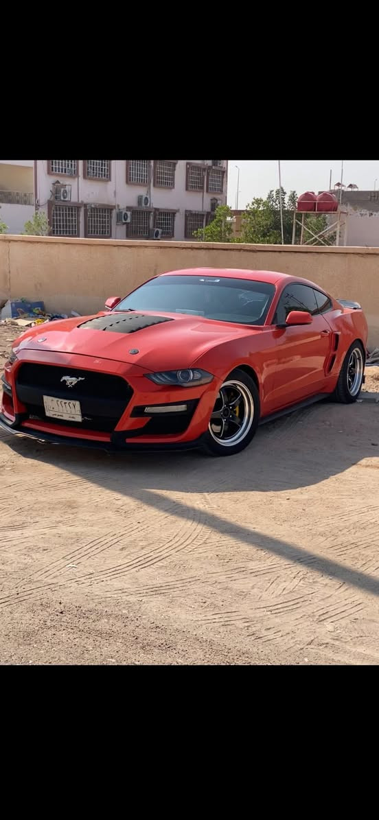 موستنك v6 كير عادي فول بريميوم بيها صوت بالمحرك تشتغل وتمشي
كيجات ٧ الوان
شاشه كاربلي 
نظام ترحيب
دخول ذكي
غرفتها جديده 
بصمه حديثه 2020
لحيه شيلبي
دفيوزر  
ويل ويلد حجم 18
سكوبات جاملغ خلفي
تفريغ اكس بايب + دبات ht باور
منظومه لايت زنون
ولف حماوه ريسنك
منظومه تبريد جديده
اي بي اس دسكات امامي خلفي وتصفير فلنجات
عبوه جديده
حداده جديده
السياره مصبوغه حزام 
سنوية جديدة لل2027
السعر 115 وبيها مجال قليل
مكاني البصره
***********
