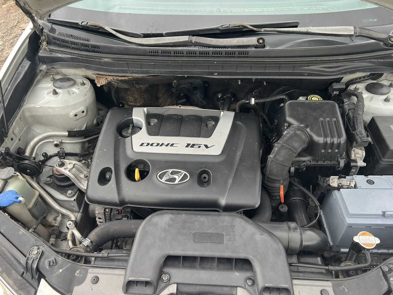 هۆندا ئەفانتی ۲۰۰۷
دکشن بەرز ----گێڕو مەکینەی بەشەرت -----تەقەو رەقە بەشەرت ---کەفەر گۆراو نیە --سەقفی بۆیاخ نیە----سەرەدەبلو خایسی بەشەرت ---تەبرید ساردو گەرم بەشەرت

سەیارەکە زۆر جوانە و خاوێنە وە کامل مەسرەف کراوە هیچ مەسرەفی تێدا نیە ماڵی دۆستە 

سەیارەکە شاشە ئایپادو کۆنتڕۆڵو کامێڕای بۆداندراوە 

تایەکانی لۆکە 

٤۸گەڵا قفڵی

***********
