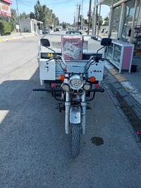 ستوته • موديل 22 • ديالى شهربان