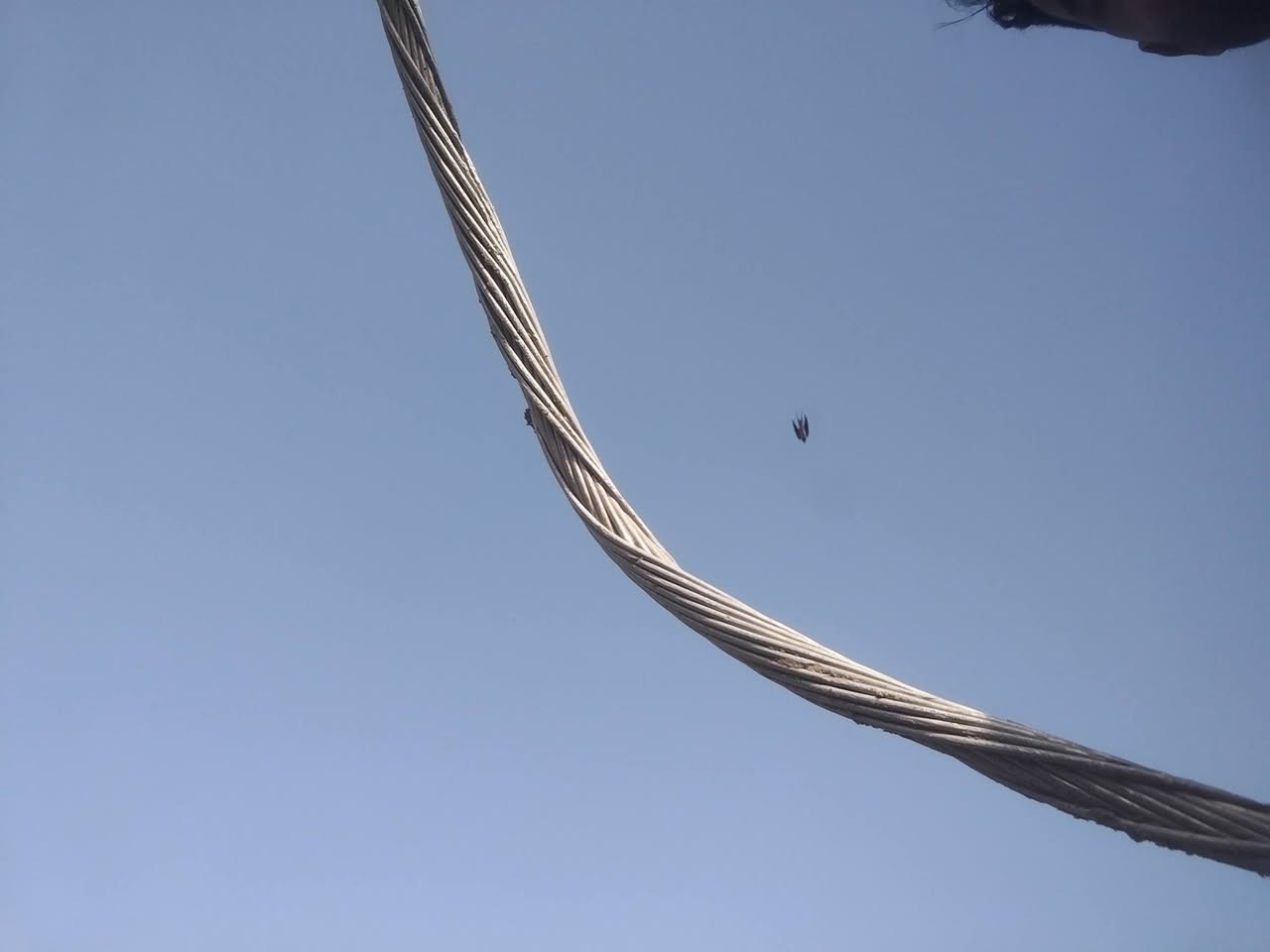 كيبل كهربا فافون للبيع
الطول تقريبا 40 متر للبيع

للاستفسار. ***********
