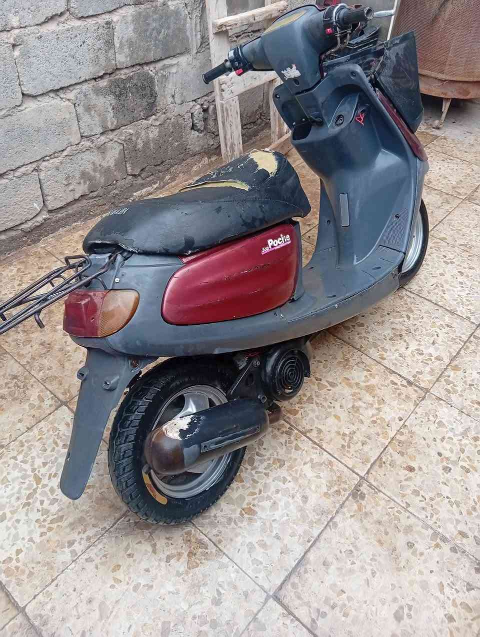 دراجة منغولي مكفولة من محرك أو كشر أو شاصي دراجة كاملة مكاني كربلاء الحر السعر خاص الستفسار *********** نقصها صفاحية فقط وناواعم
