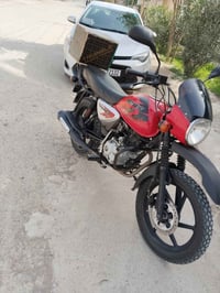 بوكسر • موديل ٢٣ • أوراق كاملة