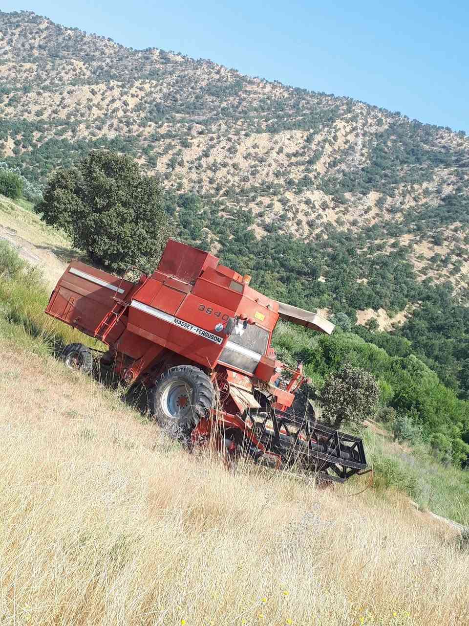 السلام عليكم حاصده فوركسن موديل 1991 رقم واسط انكليزي سنويه بسمي مشروع وطني جاهزه للحصاد مابيها نقص محرك كير شرط معمل جاهز ***********
