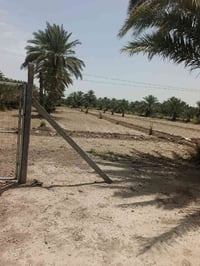 الدسميه • ٢ دونم • واجهة ٥٠م