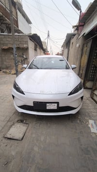 بي واي دي • سيل فايف • موديل ٢٠٢٥