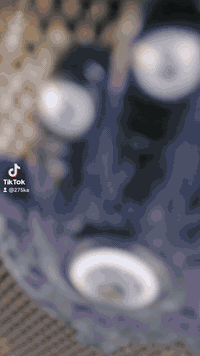 دراجه البيع منغولي ام السله صار ٥ شهر من طالعه من الوكيل كفاله عامه سع...