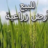 مزرعه للبيع بسعر مناسب  07703204894 07748409542