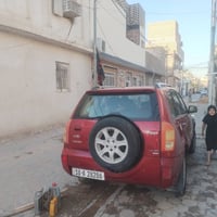 شيري تيكو • بابل • دولي
