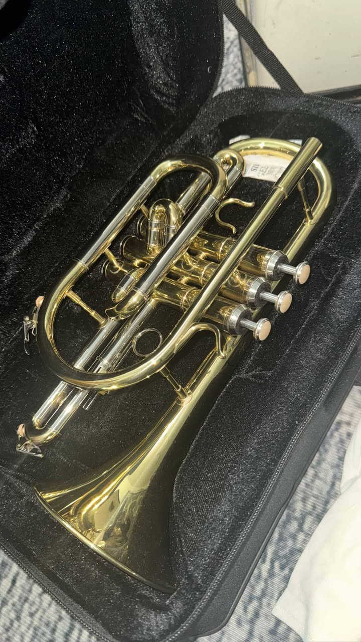 90 الف


**إذا كنت صاحب هذا الإعلان وتريد حذفه لأي سبب، رجاءا أرسل رسالة إلى الدعم الفني**