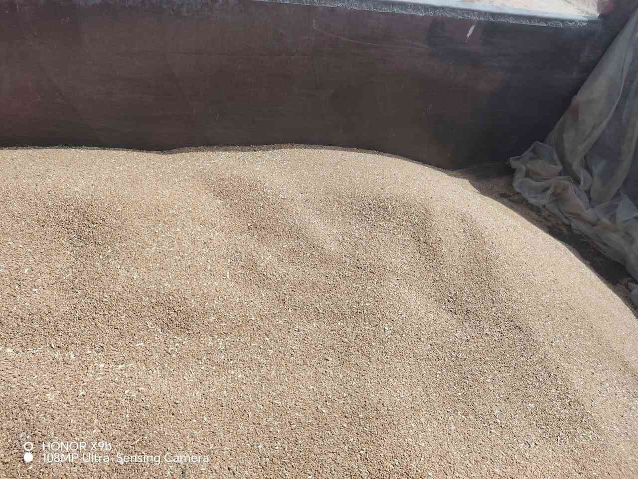 للبيع بذر حنطة نزار بنت المغلف الأصلي حنطة درجة أولى خاليه من الشوائب
***********
مكاني نجف خان النص
