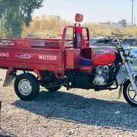 ستوته أم طير • مديل 2023 • ديالى تقاطع الوجيهيه