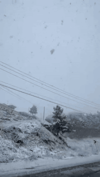 ❄️🌨️ إعلان رحلة سفرة اليوم الواحد إلى مدينة هورمان – السليمانية 🌨️❄️
هل تبحث عن أجواء الشتاء والثلوج والطبيعة الخلابة؟ 🤍
انضم معنا إلى رحلة ممتعة ليوم واحد إلى مدينة هورمان في السليمانية حيث الجبال المغطاة بالثلوج والمناظر الساحرة والأجواء الشتوية الرائعة.
📍 وجهتنا: هورمان – السليمانية
🗓️ موعد الانطلاق: يوم الجمعة المصادف ٢/١٣
⏰ الانطلاق صباحاً والعودة مساءً
✨ برنامج الرحلة: ✔️ الاستمتاع بمناظر الثلوج والطبيعة الجبلية
✔️ جلسات تصوير في أجمل المواقع الطبيعية
✔️ أجواء عائلية ممتعة ونشاطات حرة
✔️ استراحات في أماكن سياحية مميزة
🚐 تشمل الرحلة: ✔️ نقل مريح ذهاباً وإياباً
✔️ تنظيم الرحلة ومرافقة مشرفين
🎒 نصائح: ارتداء ملابس شتوية ثقيلة، قفازات، أحذية مناسبة للثلج.
📞 للحجز والاستفسار: 
***********
***********
عدد المقاعد محدود – احجز الآن واستمتع بأجمل أجواء الشتاء والثلوج ❄️
