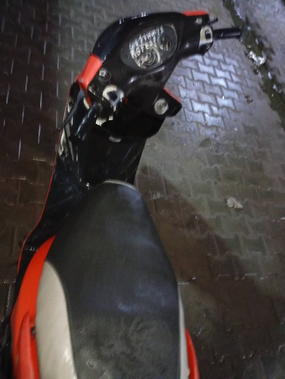 ا السلام عليكم ماكس ثعلب للبيع بلاديه كلهه ختم واحد مكاني الحريه رقمي ***********السعر 750وبيهه مجال
