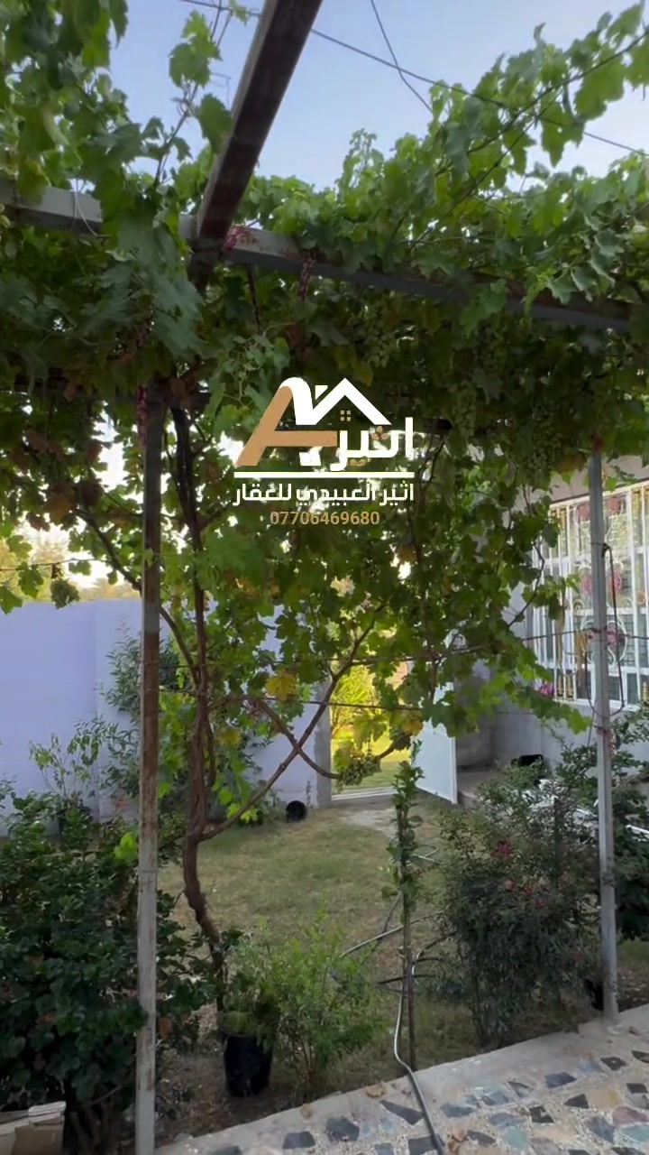 ✅اعلان رقم ( 289 )
السلام عليكم بيت مساحة 400 متر طابو زراعي 
يحتوي على غرفتين نوم واستقبال ومطبخ وحولي  وصحيات خارجيه وداخليه + حديقه 200 متر 
كافة الخدمات متوفره الموقع بغداد الراشدية قرب البحيره للأستفسار اكثر ***********
