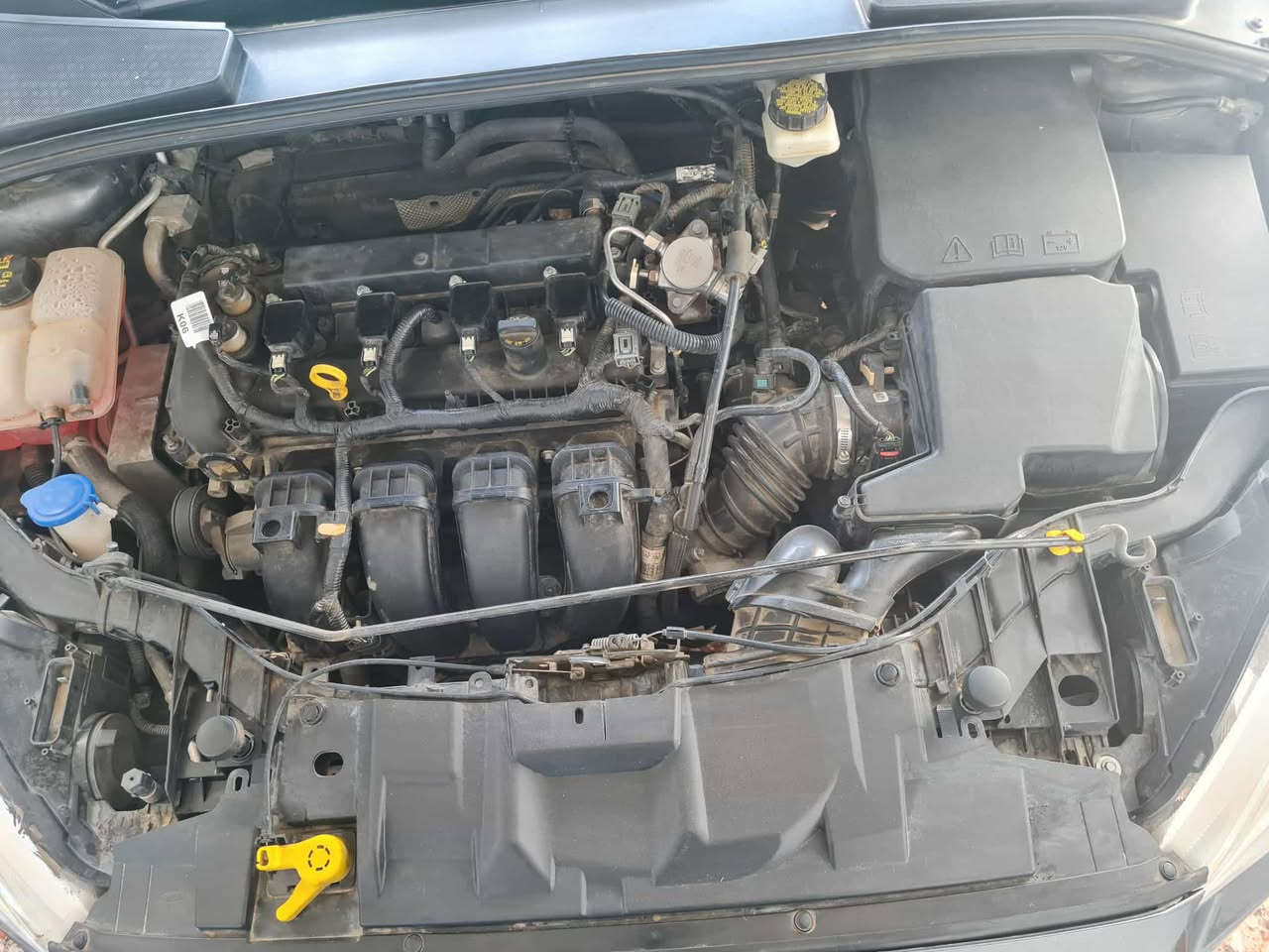 السلام عليكم
فورد فوكس موديل ٢٠١٧ لون نفطي سياره جاهزه و حلوه بي ضرر ٢ قطعه بدون دواخل  بدون ارباك رقم و هزه و سنويه جديده كير محرك شرط  محرك 20 بدون توربو مرغوب رقم اربيل  سعر ٨٥ مكان سياره كركوك استفسار تواصل مع رقم ***********
