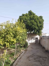 دونم طابو زراعي • ٣٠٠م بناء • ٤ غرف