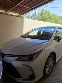 كورلا خليجي • ٢٠٢٤ • رقم البصرة