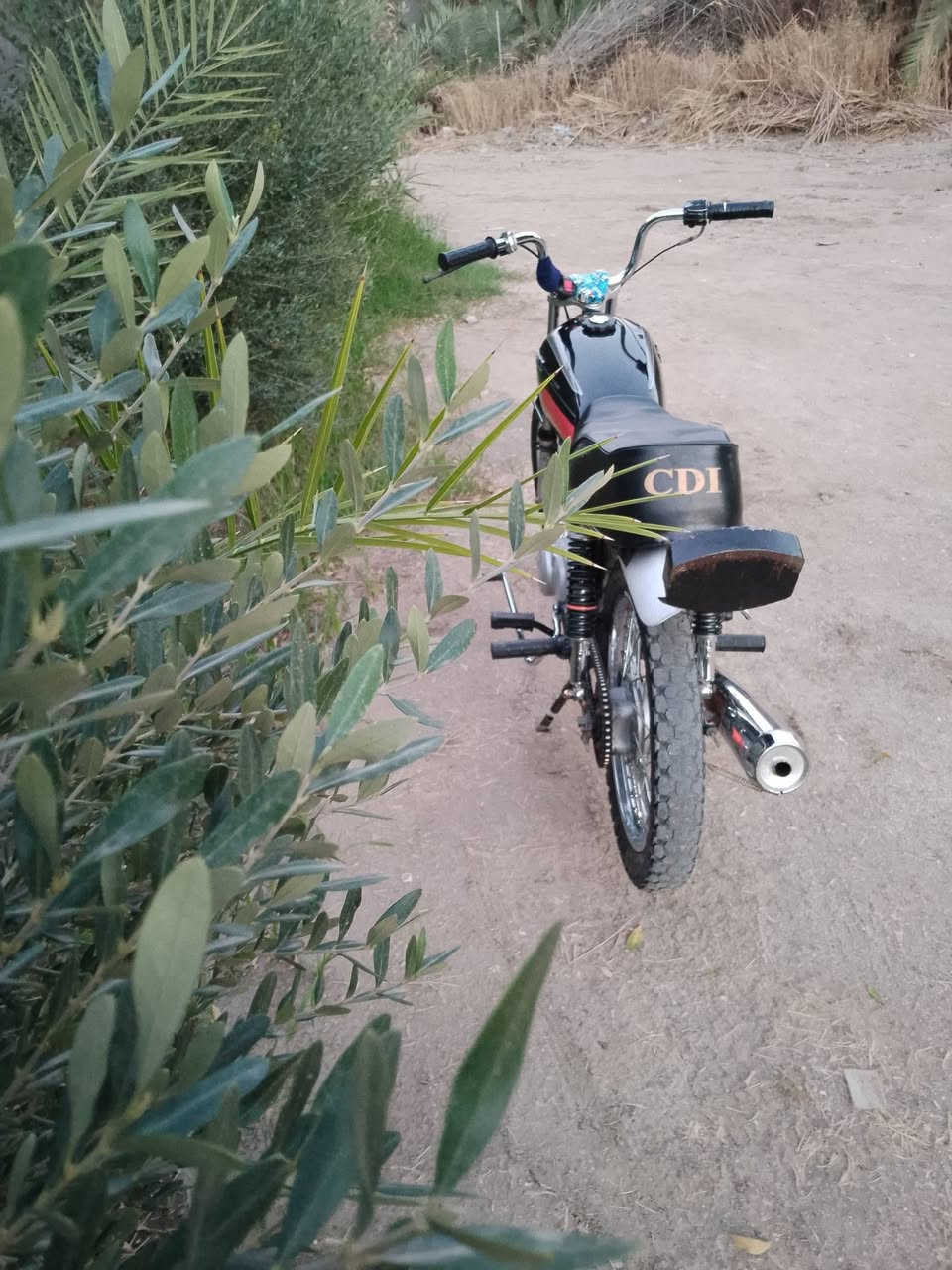 سلام عليكم للمراوس بكاملة
المكينة رابيدو الاصلي وتعمير جديد وشاصي 17ارشة الدراجة خير من الله التفاصيل اكثر خاص..


**إذا كنت صاحب هذا الإعلان وتريد حذفه لأي سبب، رجاءا أرسل رسالة إلى الدعم الفني**