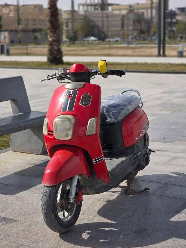 ماكس بوليسي ب600وبيه مجال رقم ***********واتساب فقط
