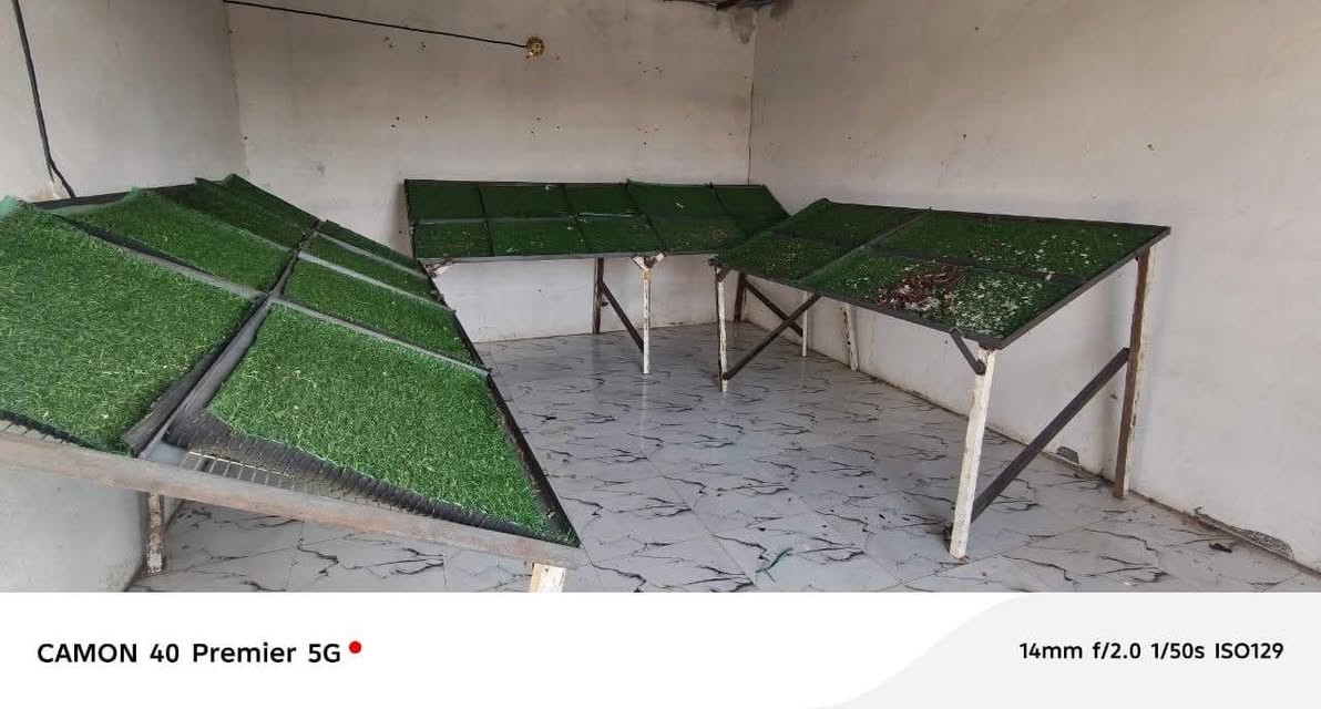 عوارض مخضر للبيع عدد 3
جاهزات
2 طولهن 2.5
1 طولها 2


**إذا كنت صاحب هذا الإعلان وتريد حذفه لأي سبب، رجاءا أرسل رسالة إلى الدعم الفني**