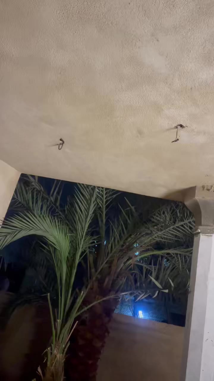 دراجة ايراني تعمير جديد مكينة سيجي نامة ام الختم شرط المعدل السعر 750وبيهة مجال للطيبين مكاني البصرة جزيرة الرقم ***********
