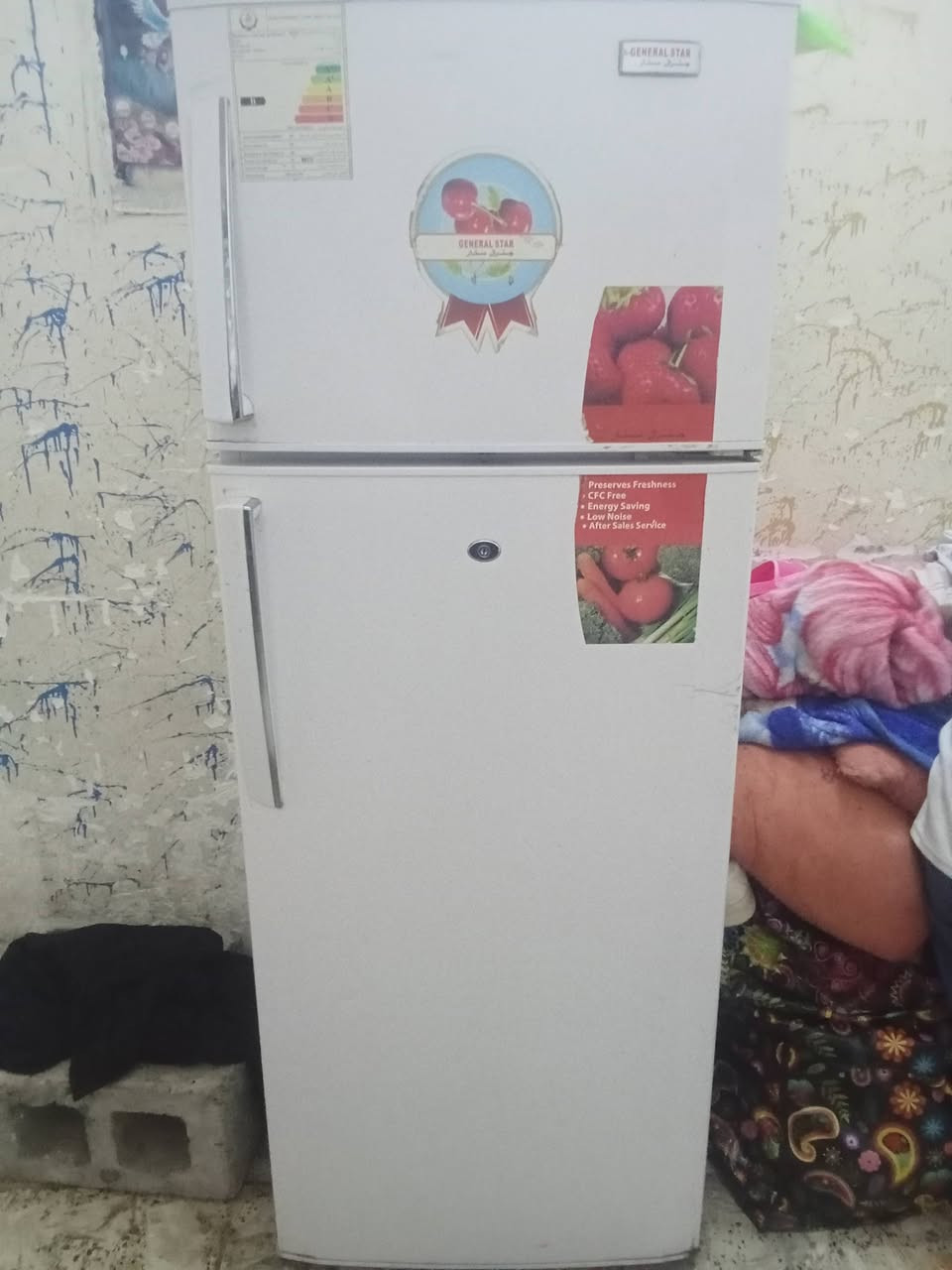 تجميد فوك  وجوا فول كلش نظيفه لين داشيل وابيعها اريدها 200 بيها مجال


**إذا كنت صاحب هذا الإعلان وتريد حذفه لأي سبب، رجاءا أرسل رسالة إلى الدعم الفني**
