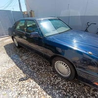 نجف • رأس الثور • شاصي 55